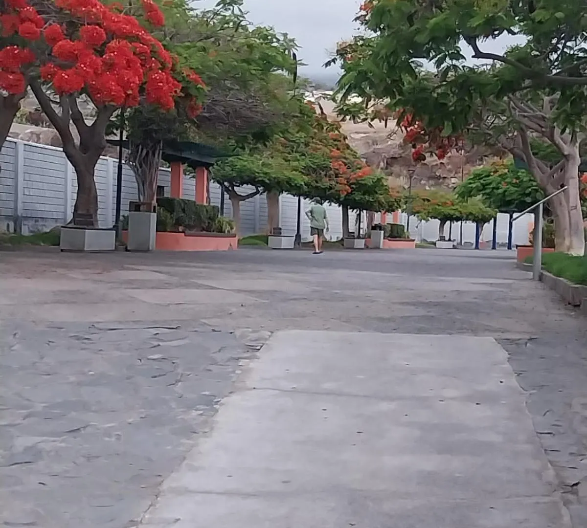 Mi Casita Tenerife Sur Free Wifi E Ac Arona  Arona (Tenerife)